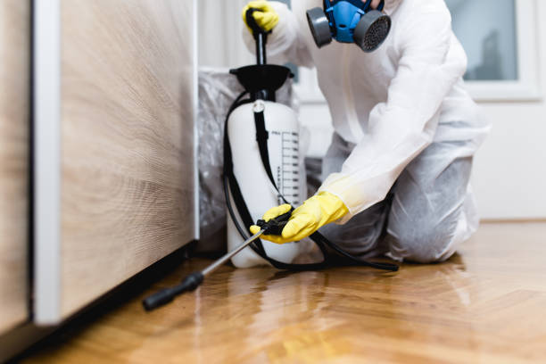 Best Pest Control Near Me  in Mont Belvieu, TX