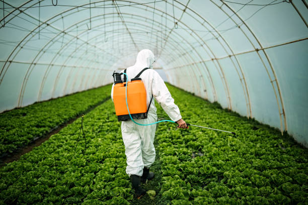 Best Local Pest Control Services  in Mont Belvieu, TX