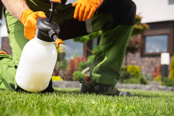 Best Pest Prevention Services  in Mont Belvieu, TX