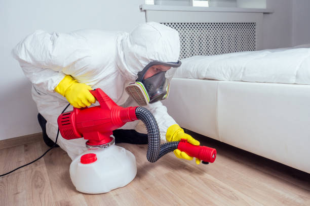 Best Pest Control Near Me in Mont Belvieu, TX